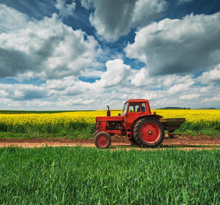 Red tractor on a farm, with acres of yellow crops in the background