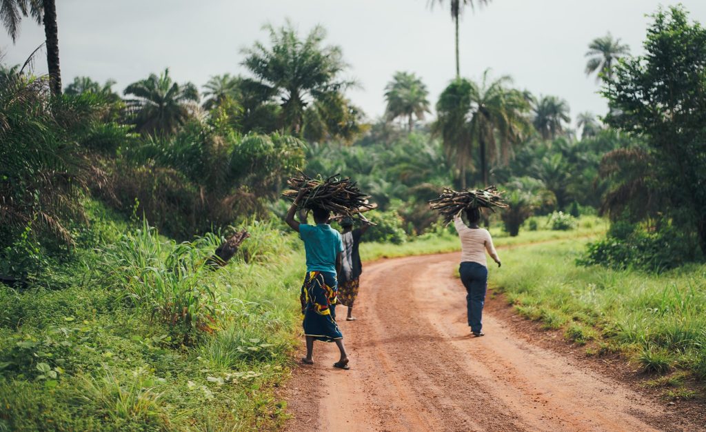 Three people walking down a dirt path, carrying wood above their head
