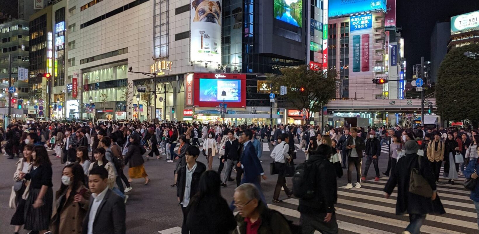 Busy road crossing at night time, in Tokyo