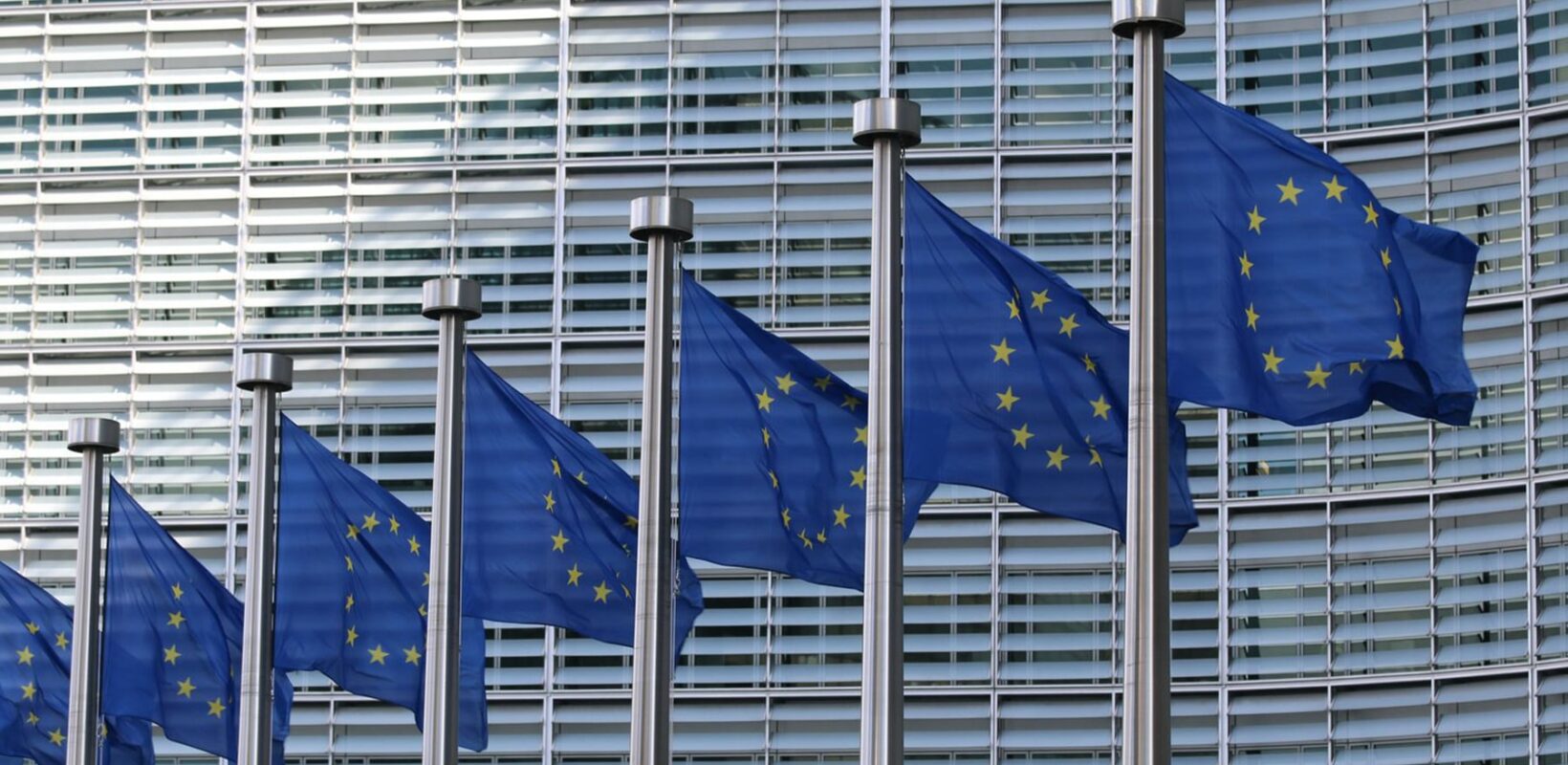 Multiple European flags in front of a building