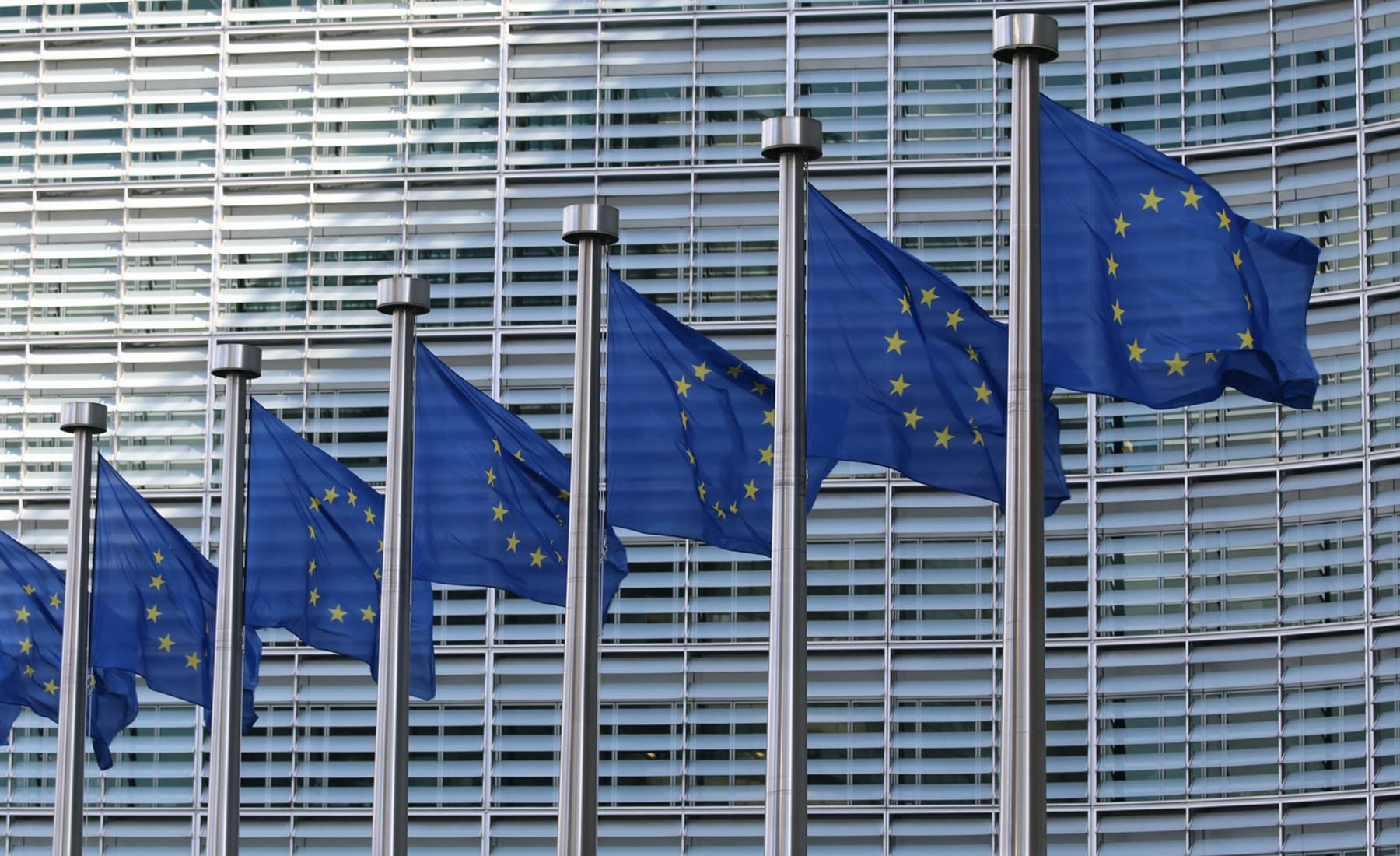 Multiple European flags in front of a building